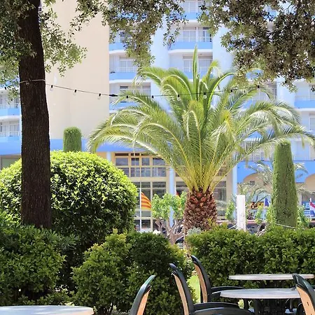 Marina Hollidays Mimosa